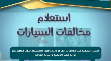 الآن.. استعلم عن مخالفات المرور 2025 وطرق التقسيط بدون فوائد عبر بوابة مصر الرقمية والنيابة العامة